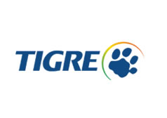 TIGRE TIGRE